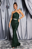 kamames Sila Halterneck Sequin Maxi Dress