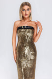 Elsie Sequin Tube Maxi Dress