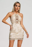 kamames Tadeo Lace Mini Dress